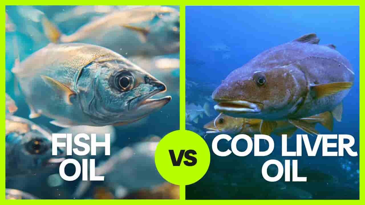 Cod Liver Oil and Fish Oil